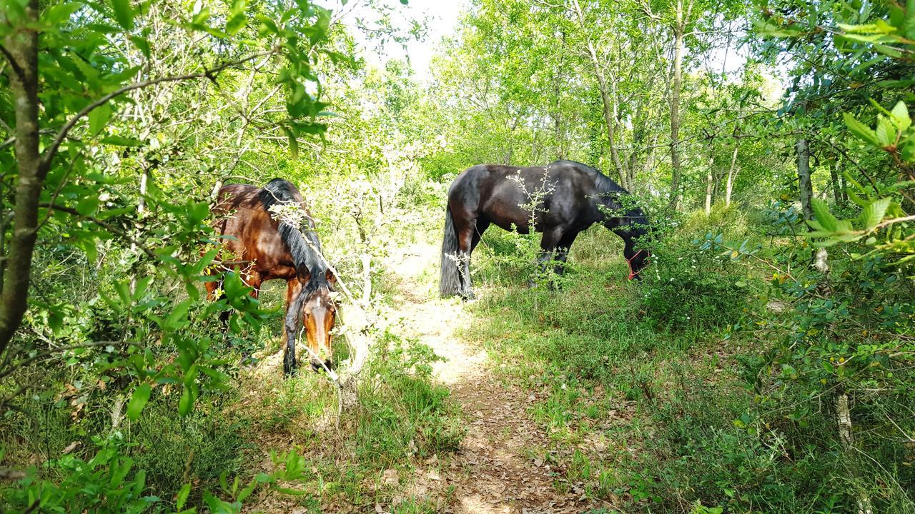 B&B La Grave Noci Dış mekan fotoğraf